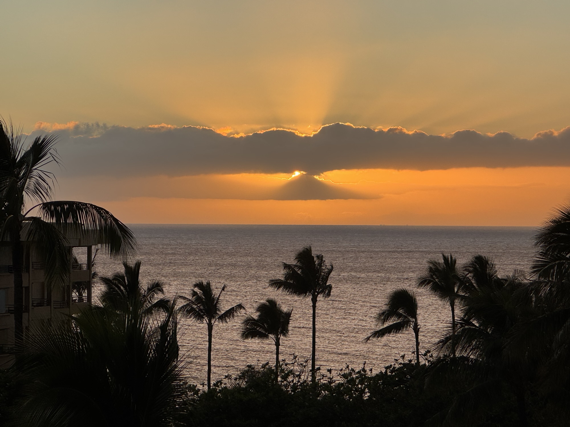 Time Out:  Another day in Paradise